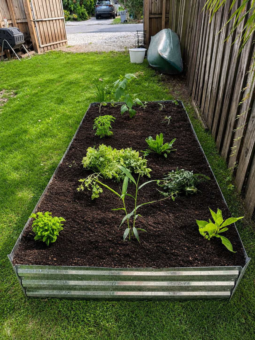Single dark-stained raised bed planted with lettuces and herbs, framed by tropical foliage.